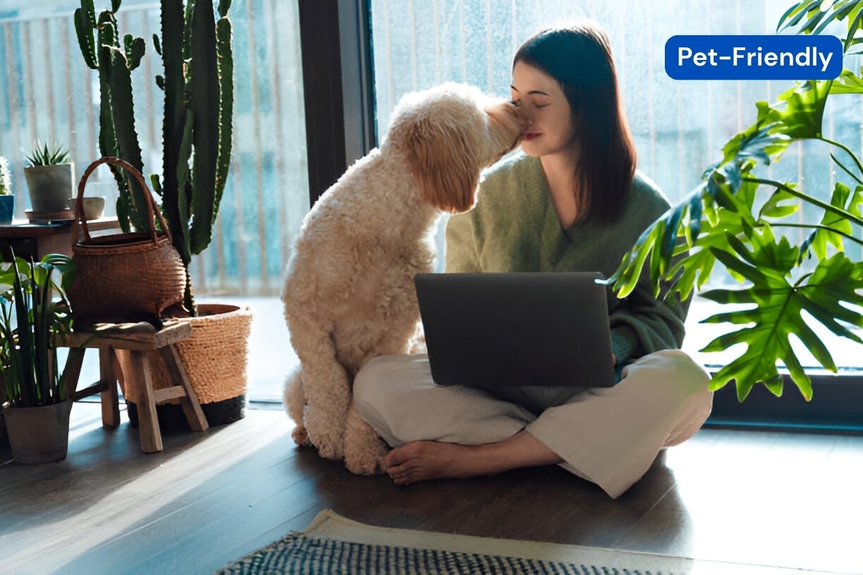 The Ultimate Guide to 30 Pet-Friendly Condos in Bangkok ([year])